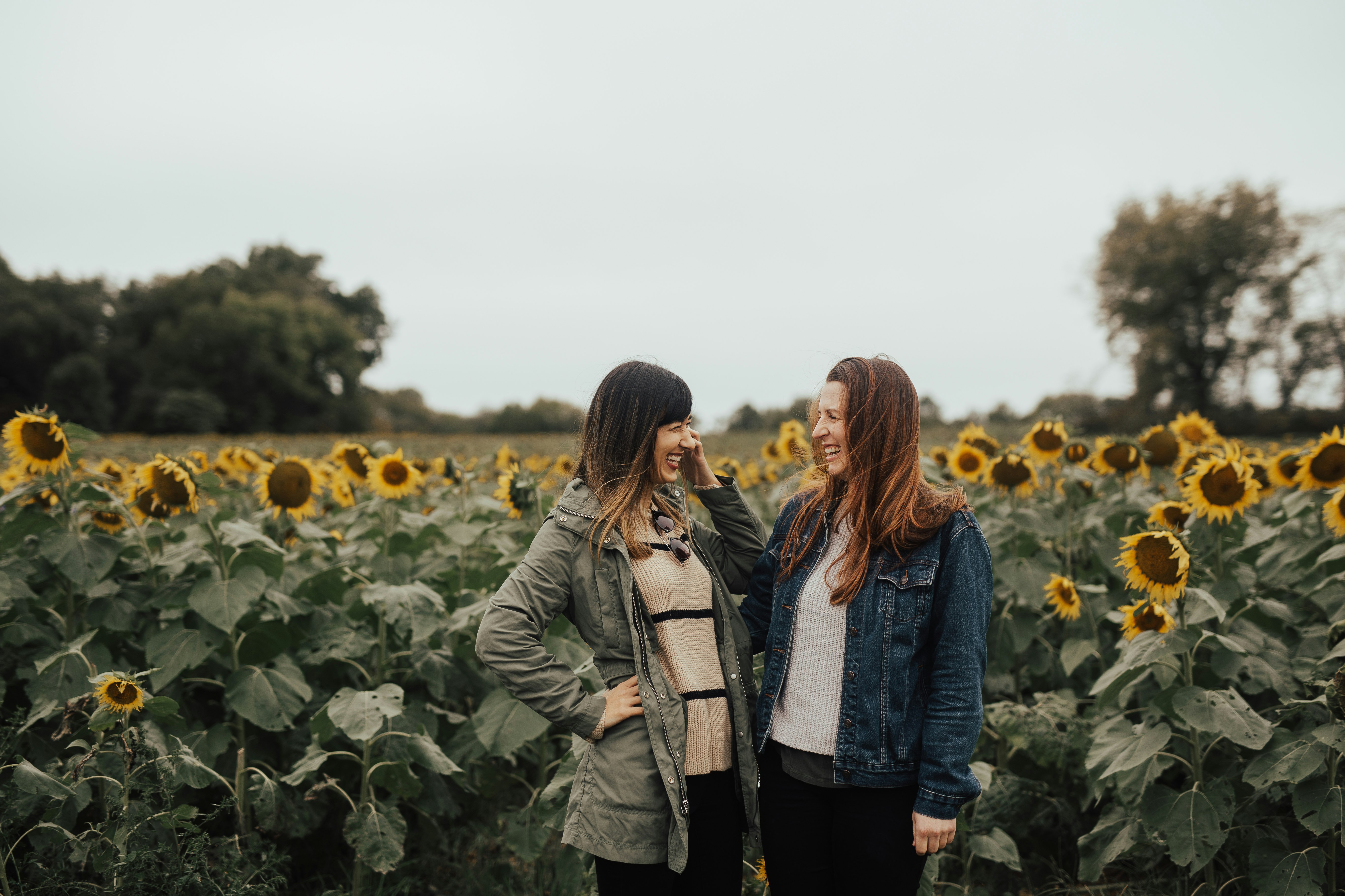 two women near yellow sunflowers